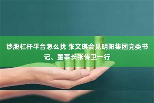 炒股杠杆平台怎么找 张文琪会见明阳集团党委书记、董事长张传卫一行