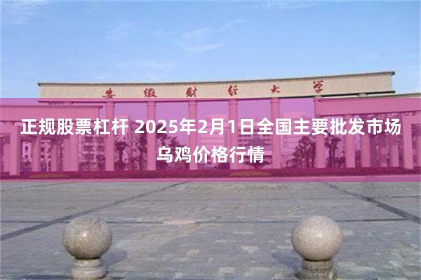 正规股票杠杆 2025年2月1日全国主要批发市场乌鸡价格行情